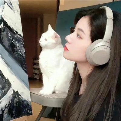 押解的故事封面