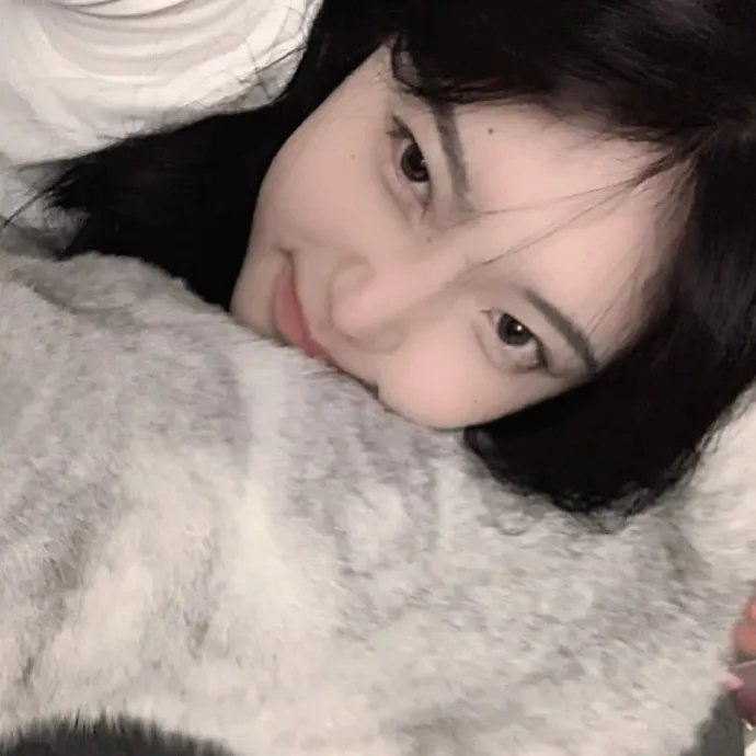 天地乾坤封面